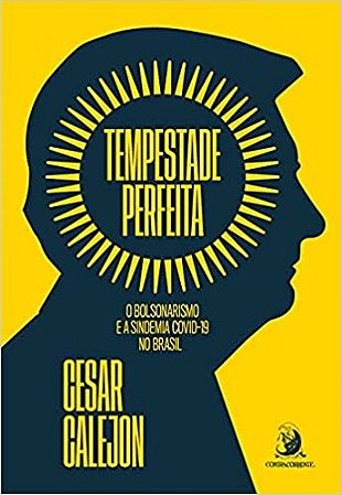 Tempestade Perfeita: o Bolsonarismo e a Sindemia Covid-19 no Brasil