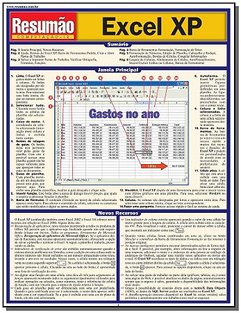 Excel Xp - Colecao Resumao