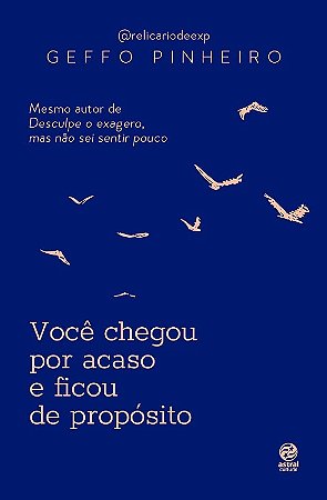 Voce Chegou por Acaso e Ficou de Proposito