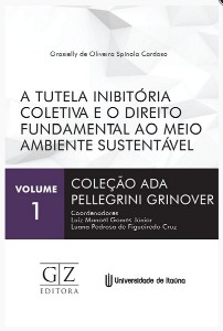 Tutela Inibitoria Coletiva e o Direito Fundamental ao Meio Ambiente Sustent