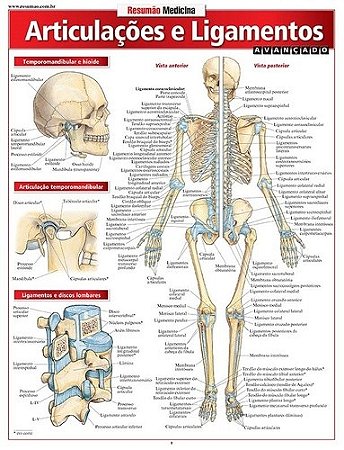 Resumão Medicina - Articulacoes e Ligamentos - Avançado