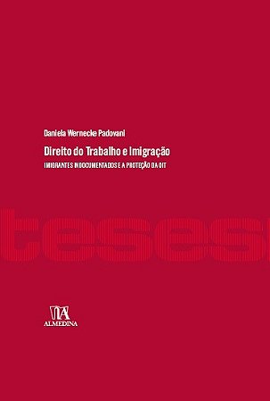 Direito do Trabalho e Imigracao: Imigrantes Indocumentados e a Protecao da