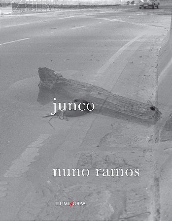 Junco