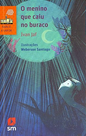 Menino Que Caiu no Buraco, O