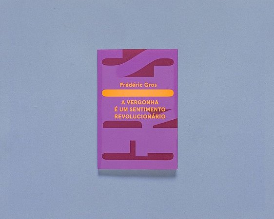 Vergonha e Um Sentimento Revolucionario, A