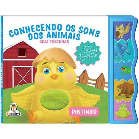 Conhecendo os Sons dos Animais com Texturas: Pintinho