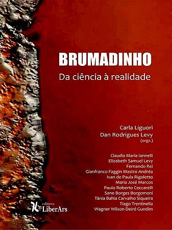Brumadinho: da Ciencia a Realidade