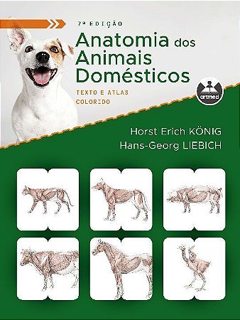 Anatomia Dos Animais Domésticos