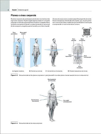 EVA Atlas de Anatomia - A Nova Era da Anatomia - 01Ed/25