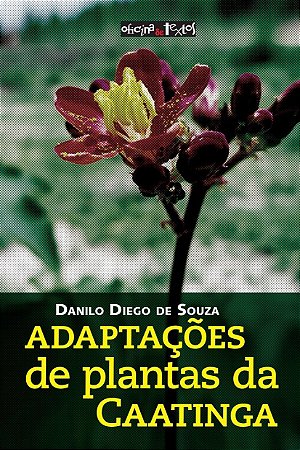 Adaptações De Plantas Da Caatinga