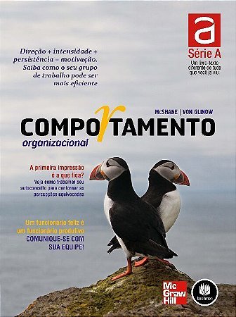Comportamento Organizacional - Serie A
