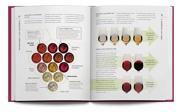 Sabores do Vinho - Da Uva à Taça