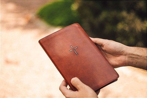 Novo Testamento Para Todos