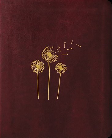 Bíblia Mulheres NAA - 1 Coluna - Sopro Divino