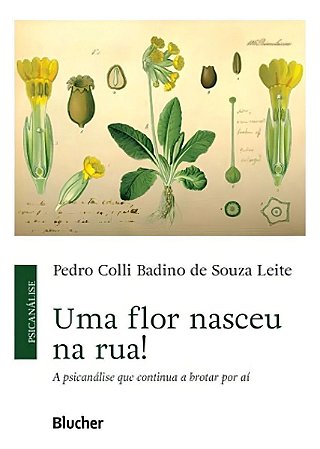 Uma Flor Nasceu na Rua!