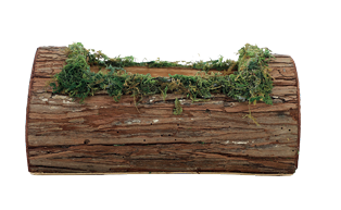 CESTA TRONCO MUSGO MRR/VRD M 13CMX27CM C/1UN