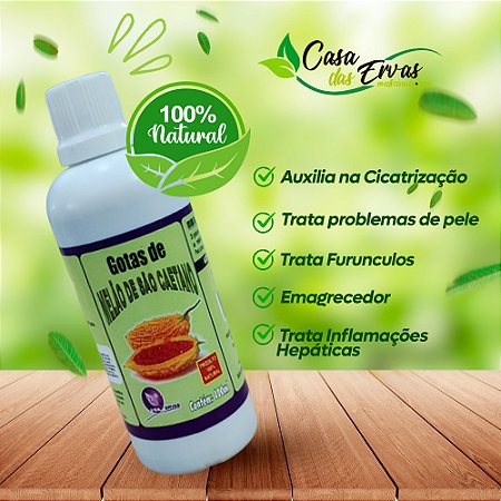 Melão de São Caetano - Vida Ervas - 100 ML