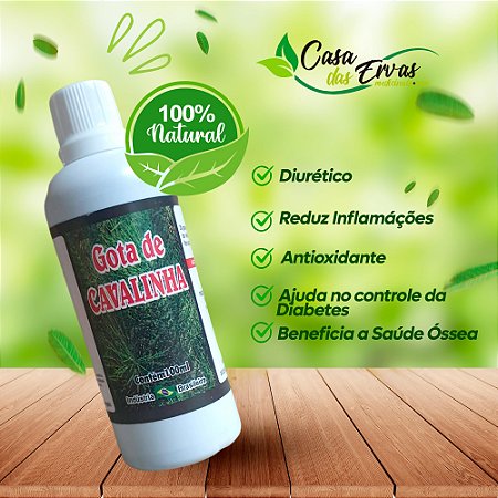 Cavalinha - Vida Ervas - 100 ML