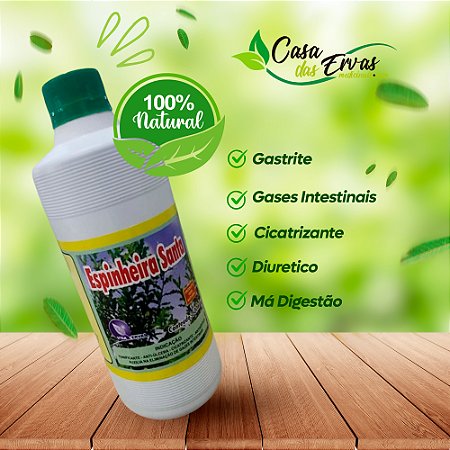 Espinheira Santa Pura - Vida Ervas - 500 ML