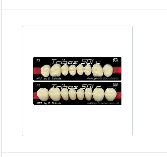 Dente Tribos 501 C (Compósito)