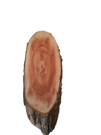 bolacha de sansão do campo