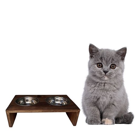 COMEDOURO ESCADA PARA CÃES E GATOS