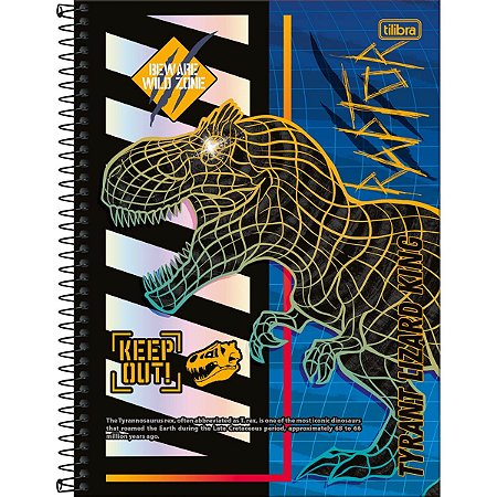 CADERNO 1 MATÉRIA CONNECT RAPTOR 80 FOLHAS