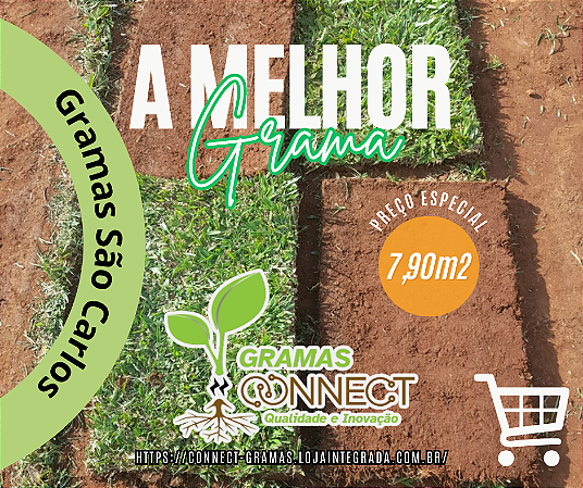 MUDAS DE GRAMAS SÃO CARLOS PLUS ( Consultar Frete )