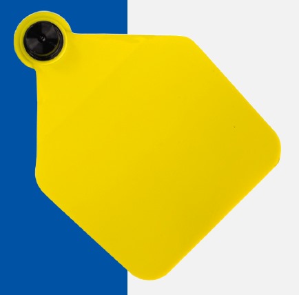 FÊMEA EXTRA GRANDE PACOTE COM 25 UNI