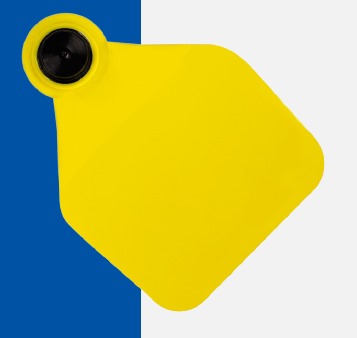 FÊMEA GRANDE PACOTE COM 25 UNI