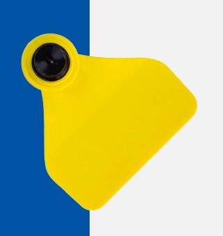 FÊMEA MÉDIA PACOTE COM 25 UNI