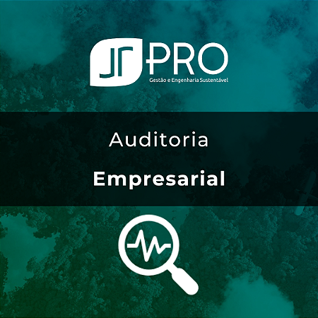 Auditoria Empresarial