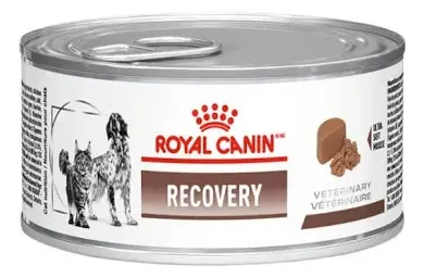 ROYAL CANIN FELINE RECOVERY WET 195 G