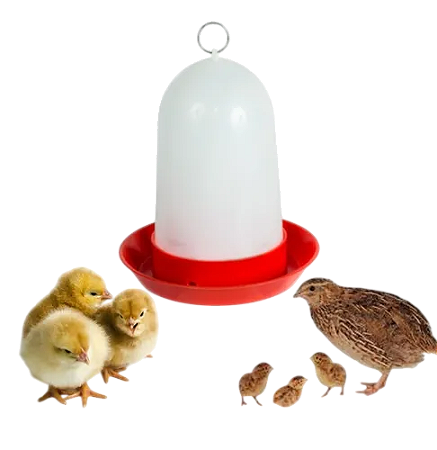 BEBEDOURO CODORNA/PINTO