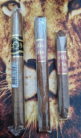 Kit Charutos SF e MF