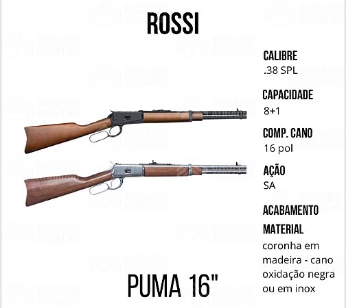 Rossi Puma 16" .38SPL