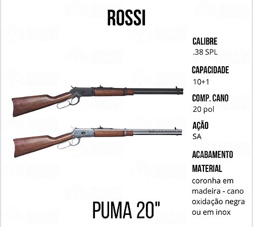 Rossi Puma 20" .38SPL