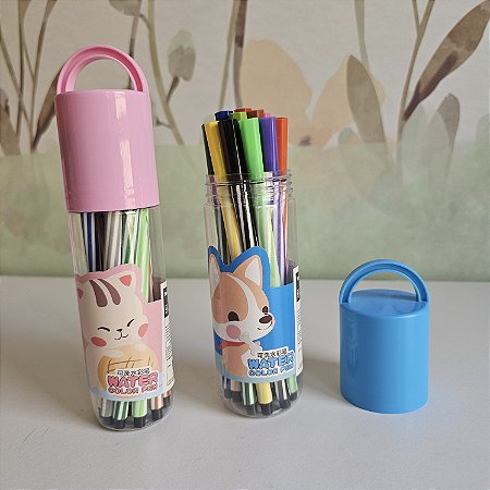 Kit caneta hidrográfica c 12