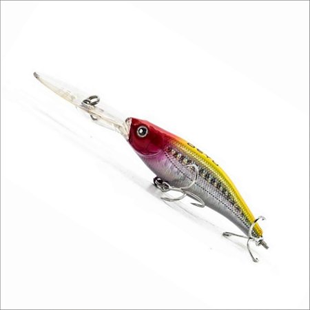 Isca Barbeludo 75 - V - DEYU