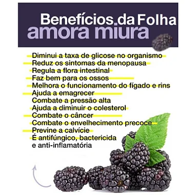MENOLAN ( COMPOSTO DE MACA PERUANA, AMORA MIURA E ISOFALVONA) 60 cap 500 mg  COMBATE CALORES DA MENOPAUSA