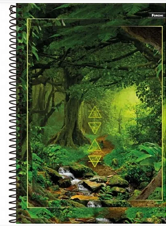 Caderno Universitário 1 Matéria Foroni – 96 Folhas