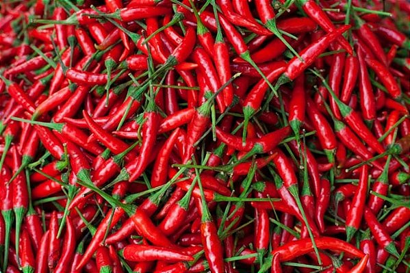 Pimenta Malagueta in natura com talo