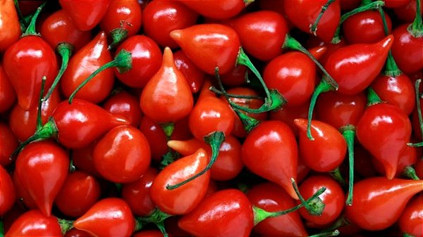 Pimenta Biquinho in natura com talo