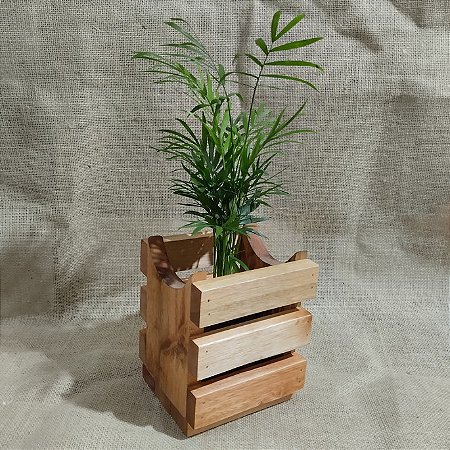 Cachepot (15 x 15 x 20 Cm) em Eucalipto de Reflorestamento
