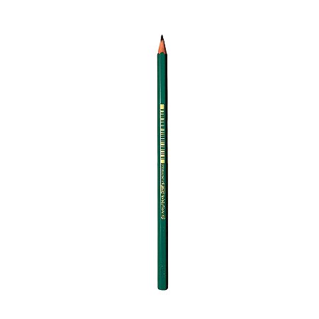Lápis Preto Evolution HB2 BIC