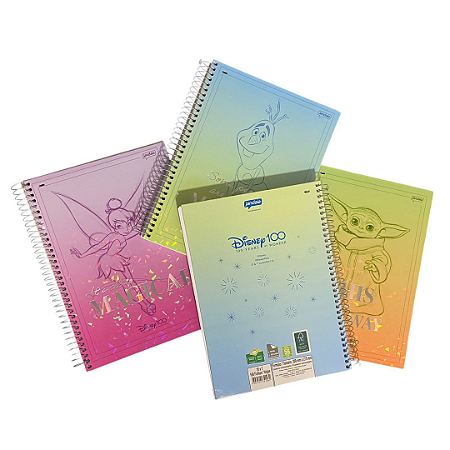 Caderno Disney 10 matérias Jandaia