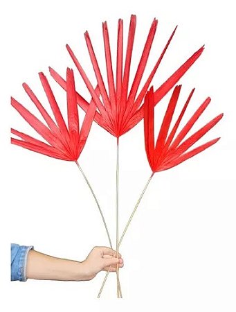 3 Galhos De Rafis Pintado De Vermelho Decoração Enfeite