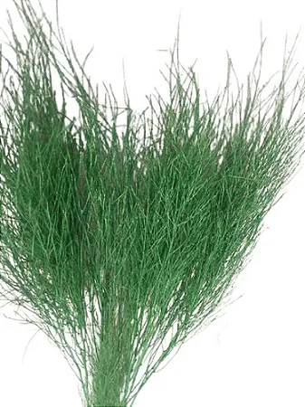 Galhos Aspargo Verde Com Purpurina 6 Uni Decoração Enfeite