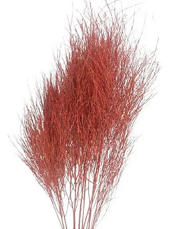 Galhos Aspargo Vermelho Com Purpurina 6uni Decoração Enfeite