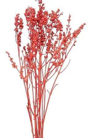 Galhos Coroinha Vermelho Decoração Enfeite Ornamentação